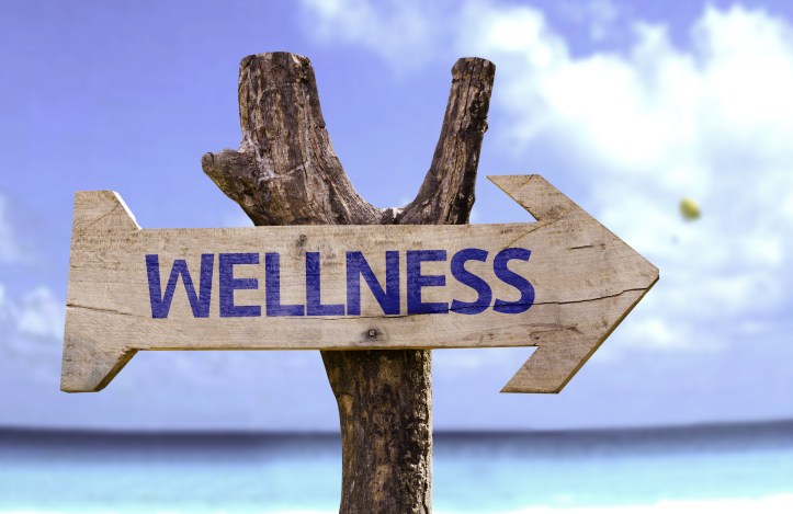 Wellness wooden sign on a beautiful day